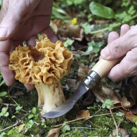 Opinel - N°8 Inox - Couteau à champignon