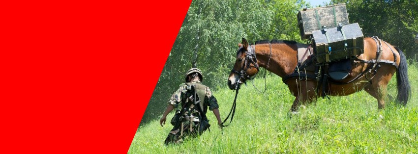 Accessoires pour chevaux de l'armée suisse